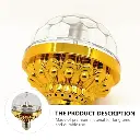 photo_6143049762094564625_x (1).webp